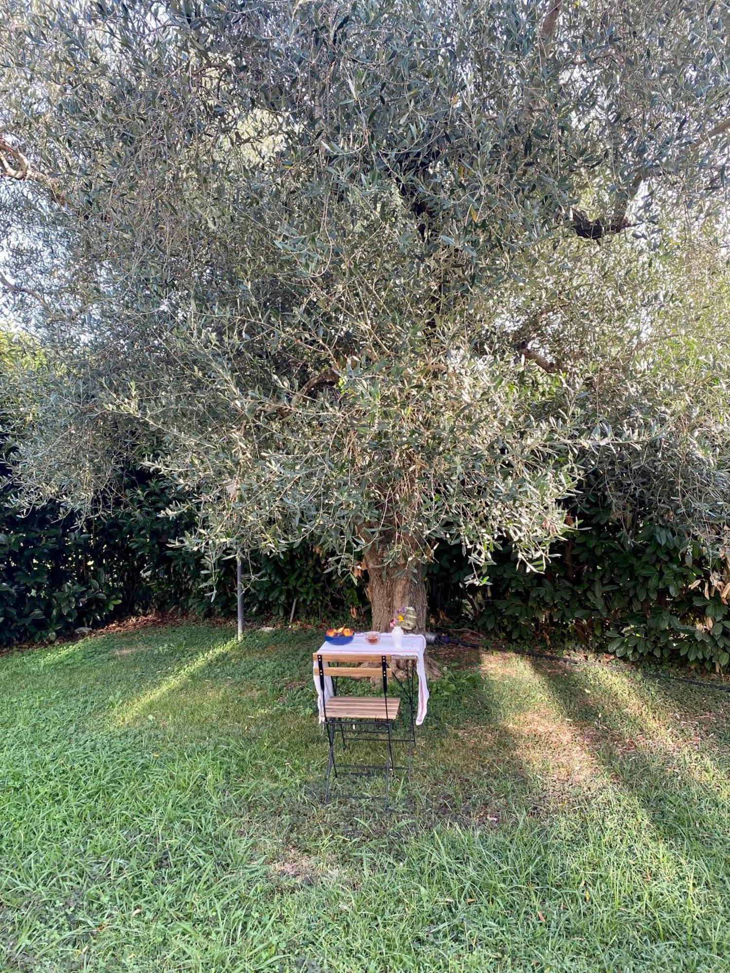 La Locanda Del Tevere Fiano Romano Exterior foto